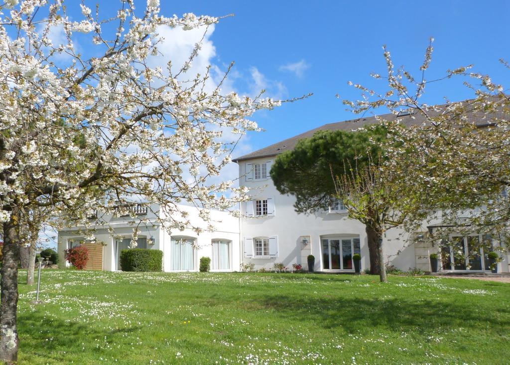 Logis Hotel Restaurant Des Chateaux アゼ・ル・リドー エクステリア 写真